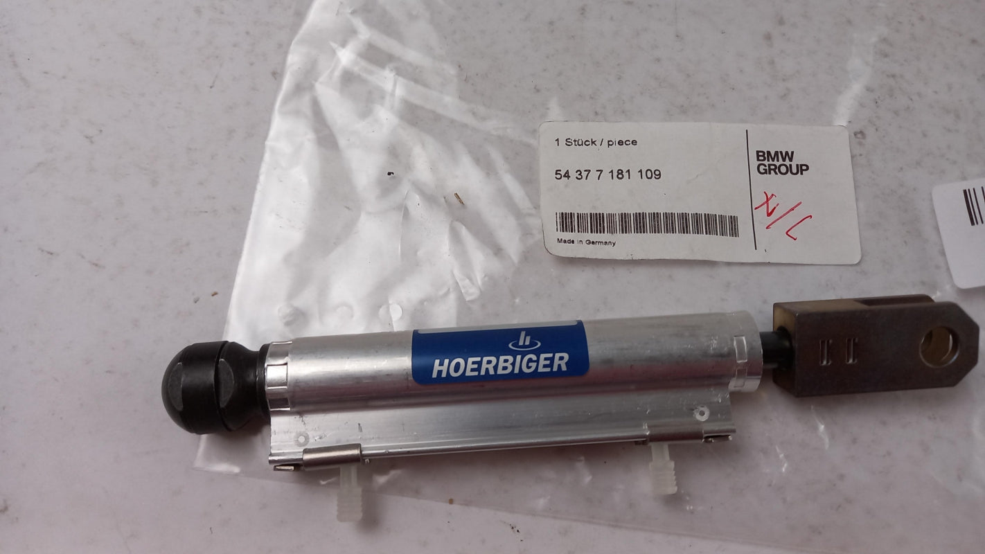 Original OE BMW 3 E93 4 F33 F83 54377181109