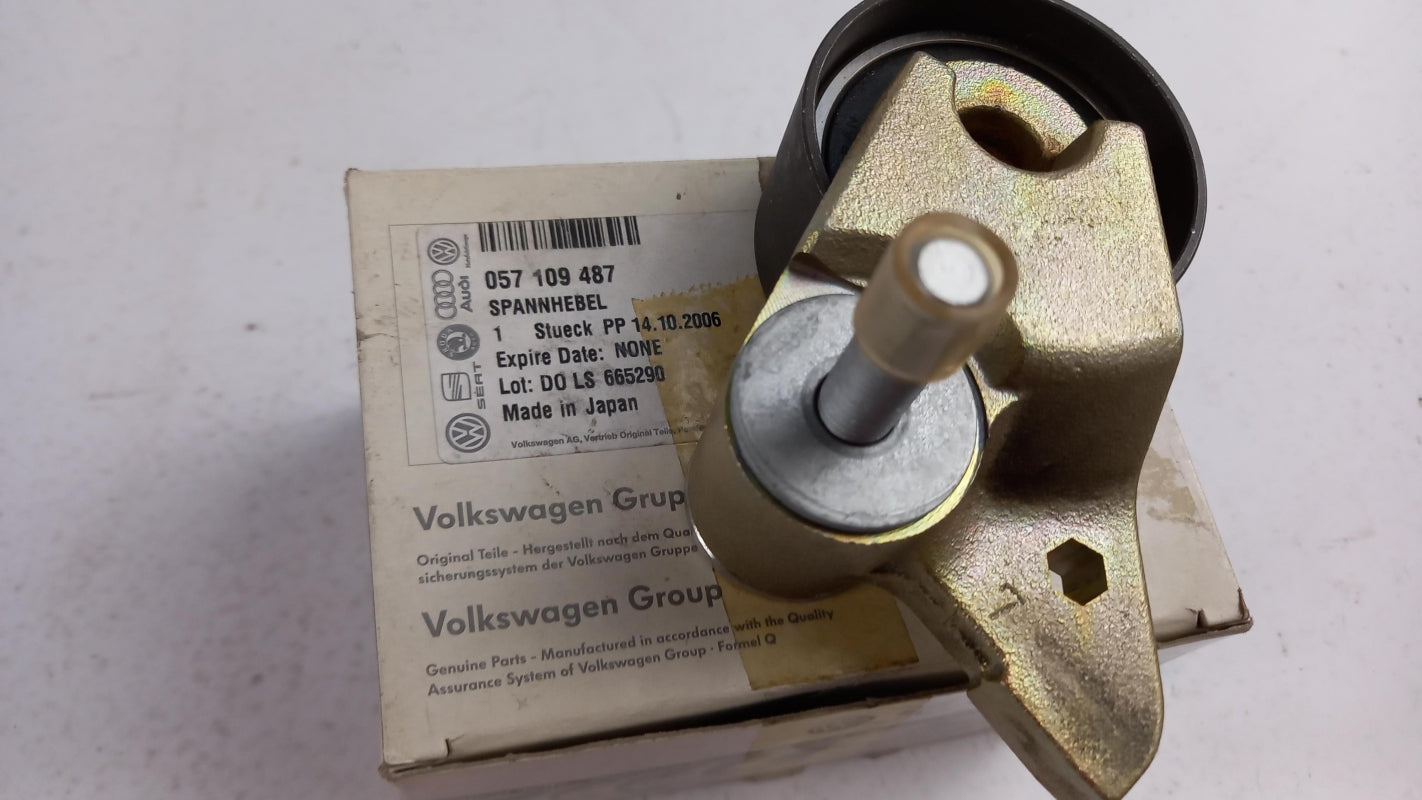 Original OEAUDI A8 S8 4D 3.3 TDI Spannrolle 057109487