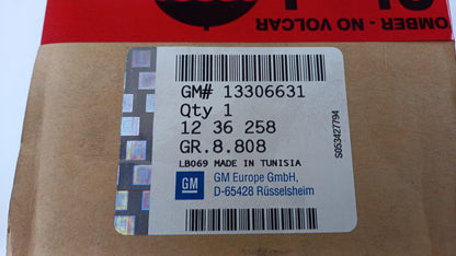 Original OE OPEL Anzeigeeinheit 13306631