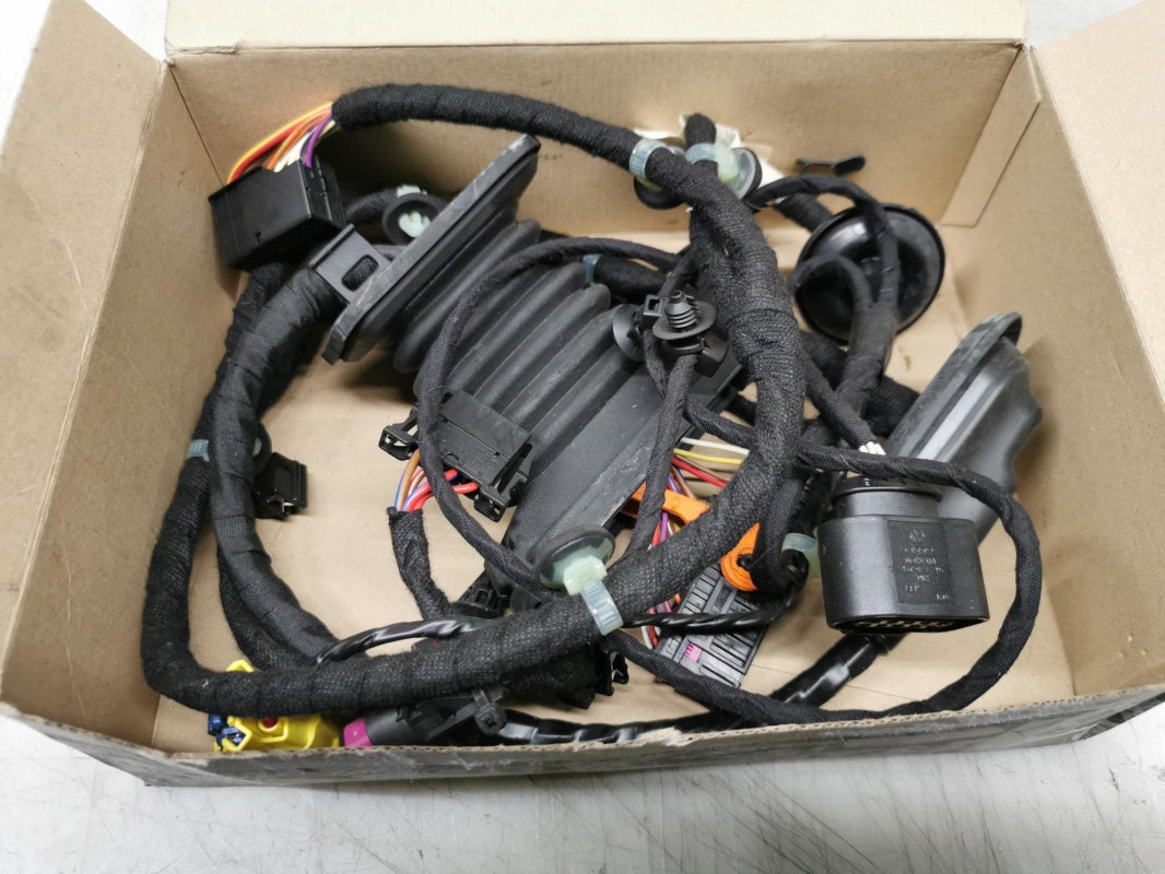 Original VW Passat B6 3C Tür Kabelbaum vorne links 3C1971120BB