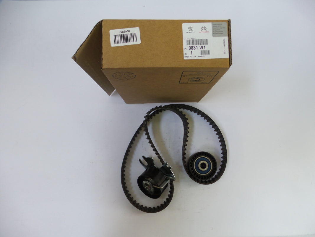 Original PEUGEOT 3008 407 5008 RCZ CITROEN C4 C5 C8 DS5 Zahnriemensatz 0831W1