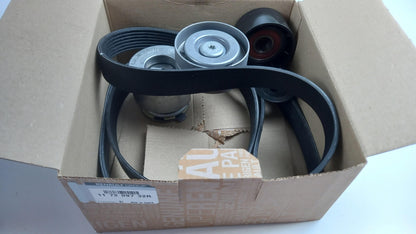 Original RENAULT Captur Clio Megane Scenic Keilrippenriemensatz 117209732R