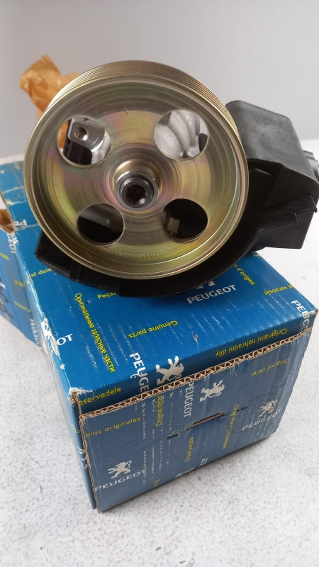 Original CITROEN Berlingo PEUGEOT 206 Servopumpe 4007AQ