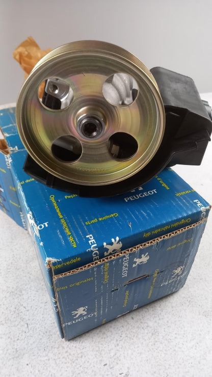Original CITROEN Berlingo PEUGEOT 206 Servopumpe 4007AQ
