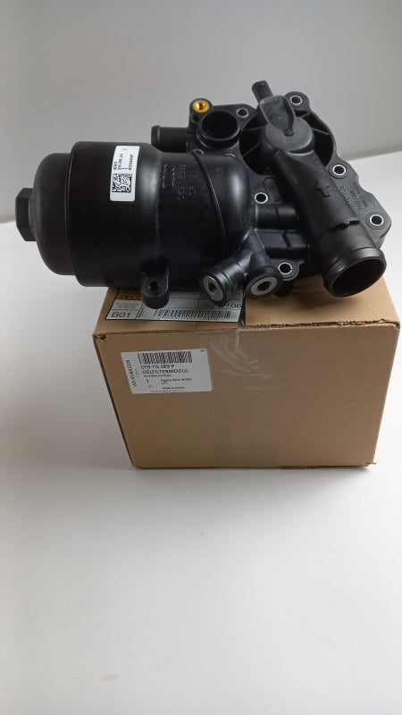 Original AUDI A4 B8 A6 C7 Q5 3.0 TDI Ölfilter mit Thermostat 059115389P