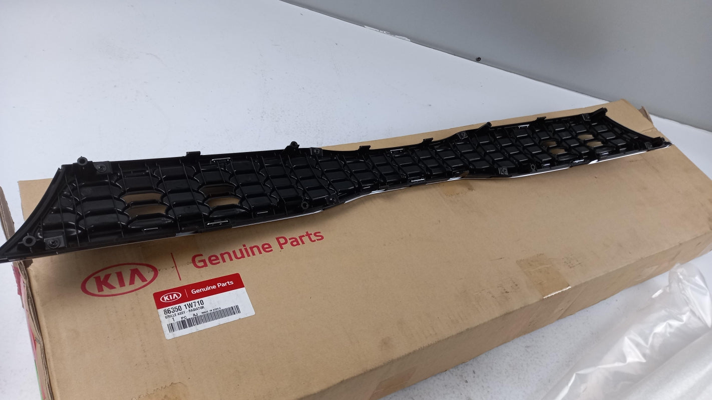 Original OE HYUNDAI/KIA Kühlergitter 863501W710