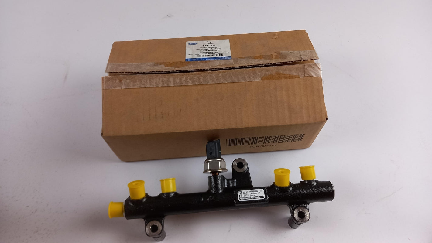 Original FORD Focus C-Max '11-'15 Kuga '12-'14 Kraftstoff Verteilerrohr 1841279