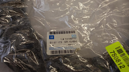 Original OE OPEL Türdichtung 13149777
