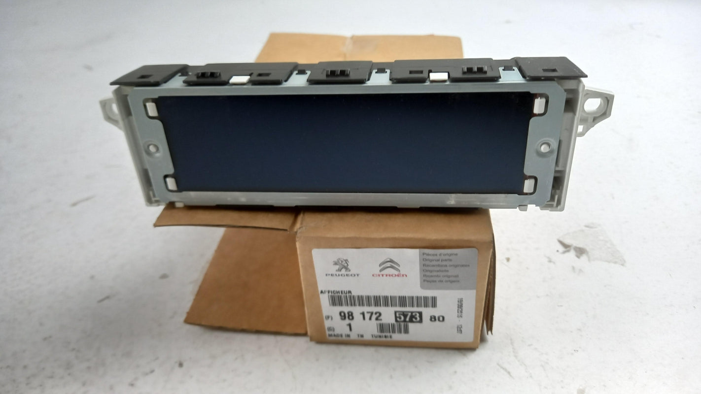 Original OE FIAT Anzeigeeinheit 9817257380