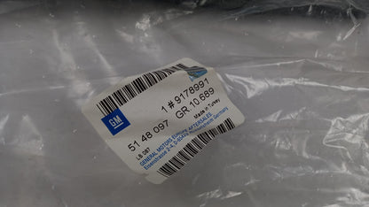 Original OPEL Signum Vectra-C Türscheiben Dichtung vorne links 9178991