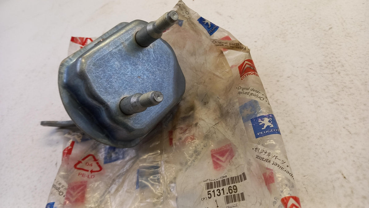 Original OE Peugeot Achsträger Lagerung 513169