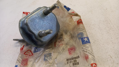 Original OE Peugeot Achsträger Lagerung 513169