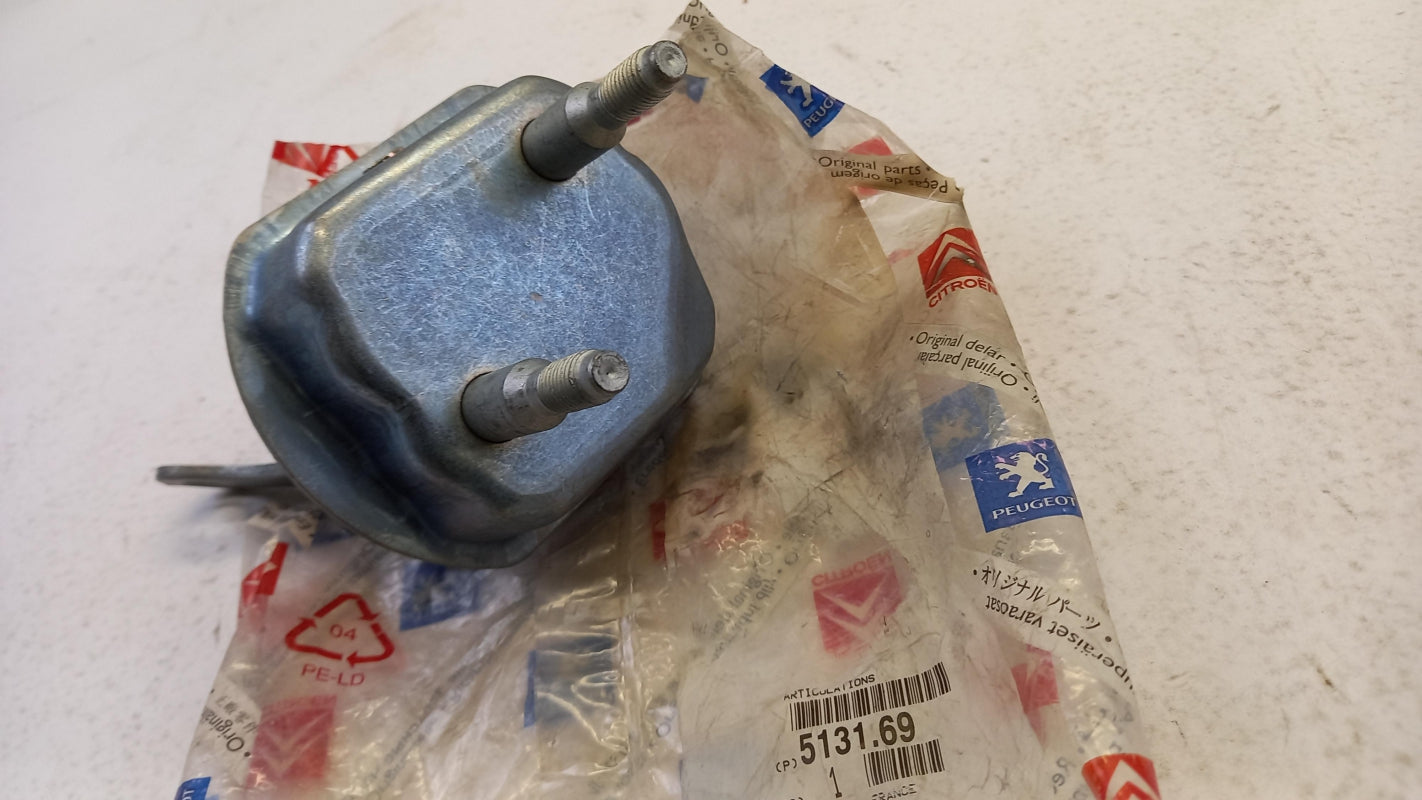 Original OE Peugeot Achsträger Lagerung 513169