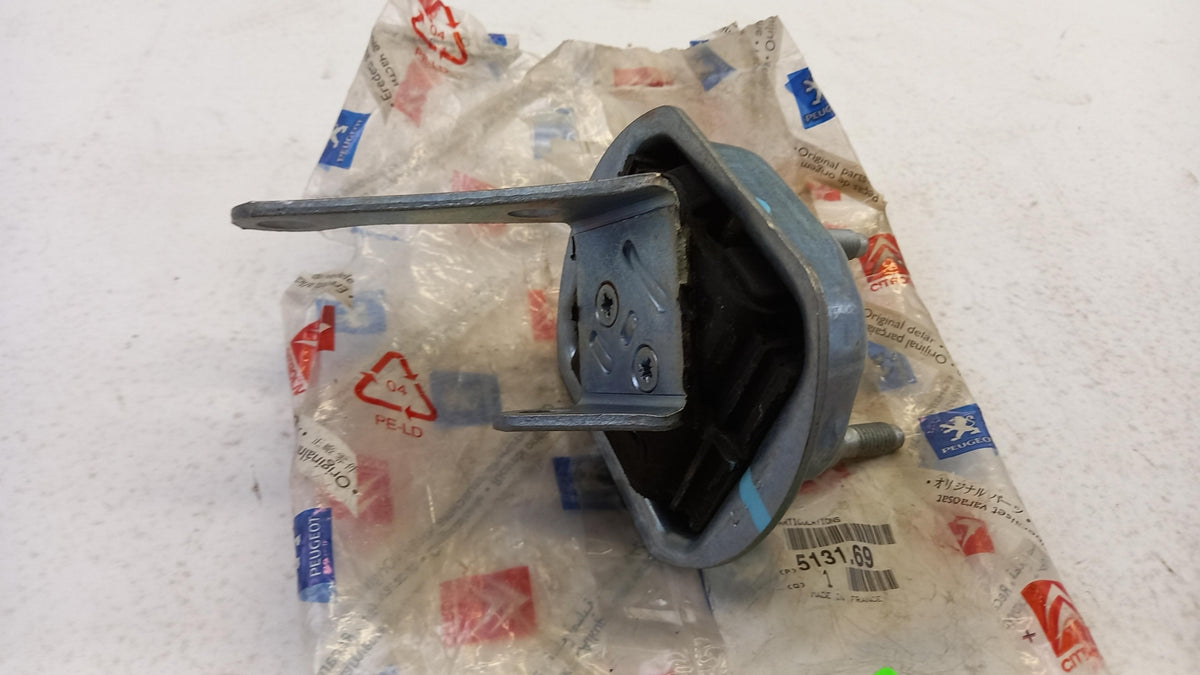 Original OE Peugeot Achsträger Lagerung 513169
