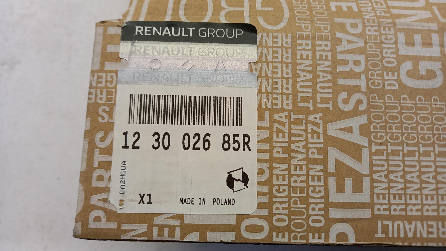 Original RENAULT Kadjar Megane II III 1.5DCI Schwungrad 123002685R