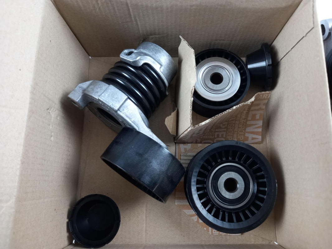 Original OE RENAULT Keilrippenriemensatz 117204083R