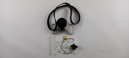 Original RENAULT Duster Clio Captur Megane 1.6i Keilrippenriemensatz 117205500R