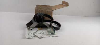 Original RENAULT Duster Clio Captur Megane 1.6i Keilrippenriemensatz 117205500R