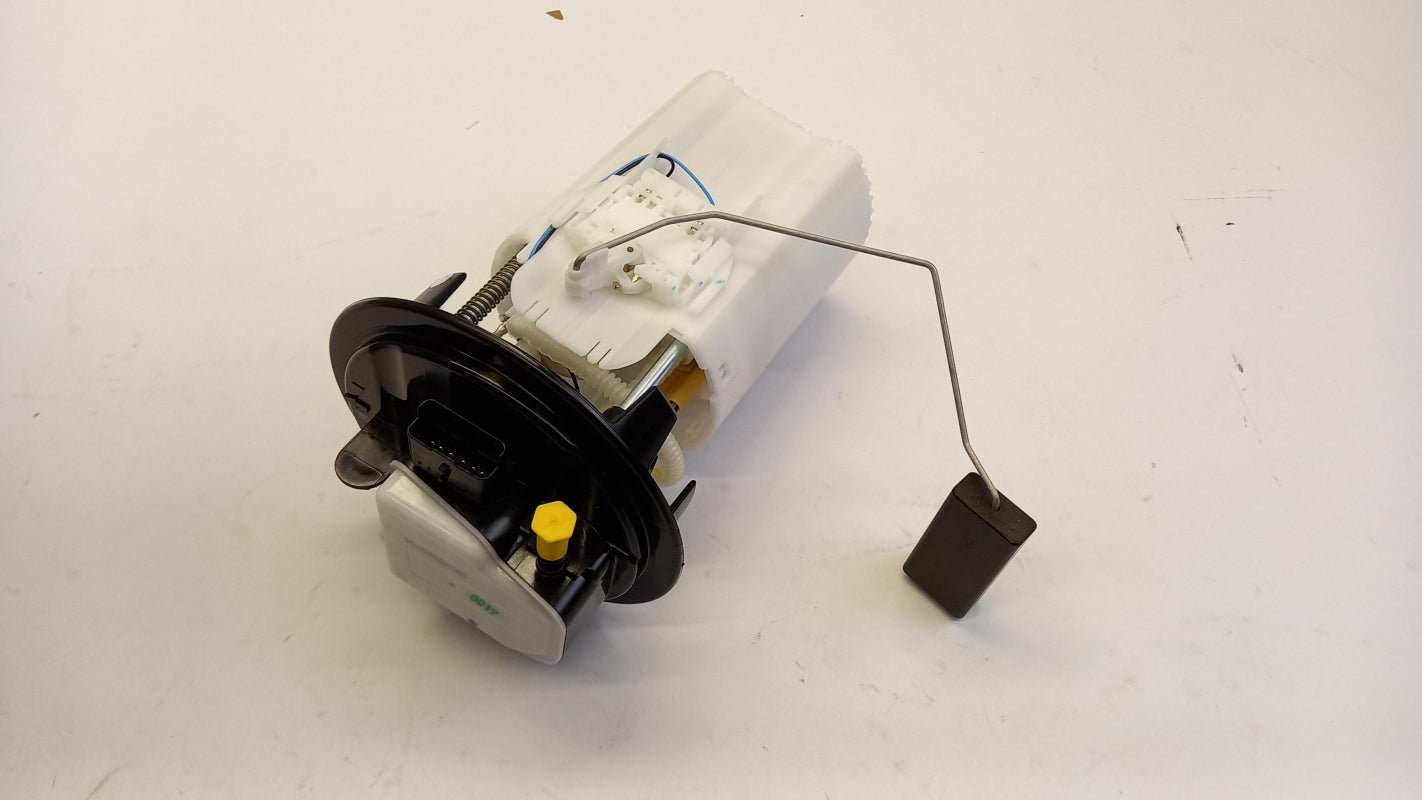 Original OE Peugeot Kraftstoffpumpe 9815894780