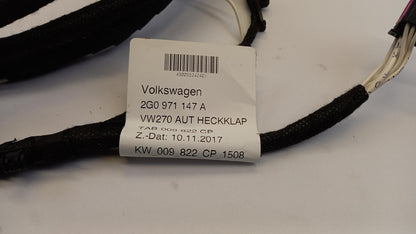 Original OE Volkswagen Kabelbaum 2G0971147A