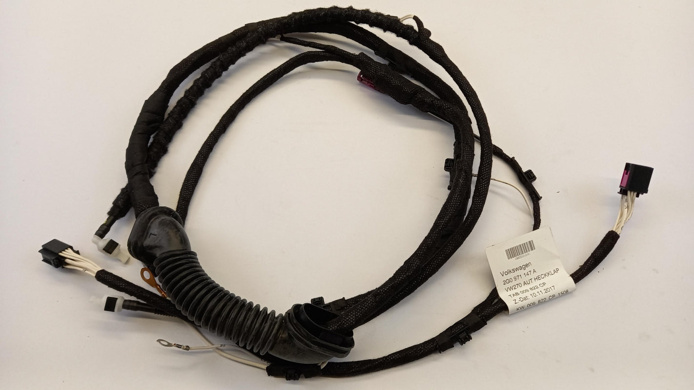 Original OE Volkswagen Kabelbaum 2G0971147A