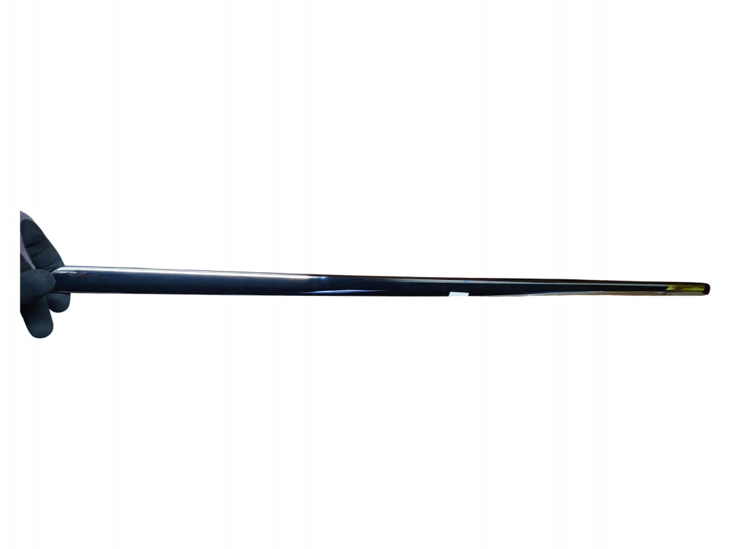 Original OE FORD door trim strip 2055261 