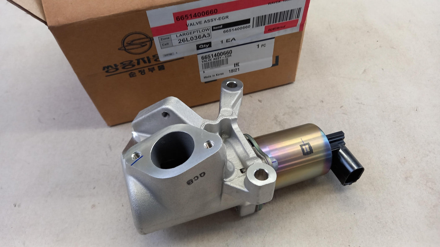 Original OE SSANGYONG AGR-Ventil 6651400660