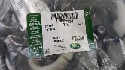 Original RANGE ROVER Sport L494 14-22 Tür Kabelbaum vorne LR089224
