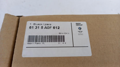 Original BMW 3' G20 5' G30/F90 M5 Innenleuchte 61315A0F612