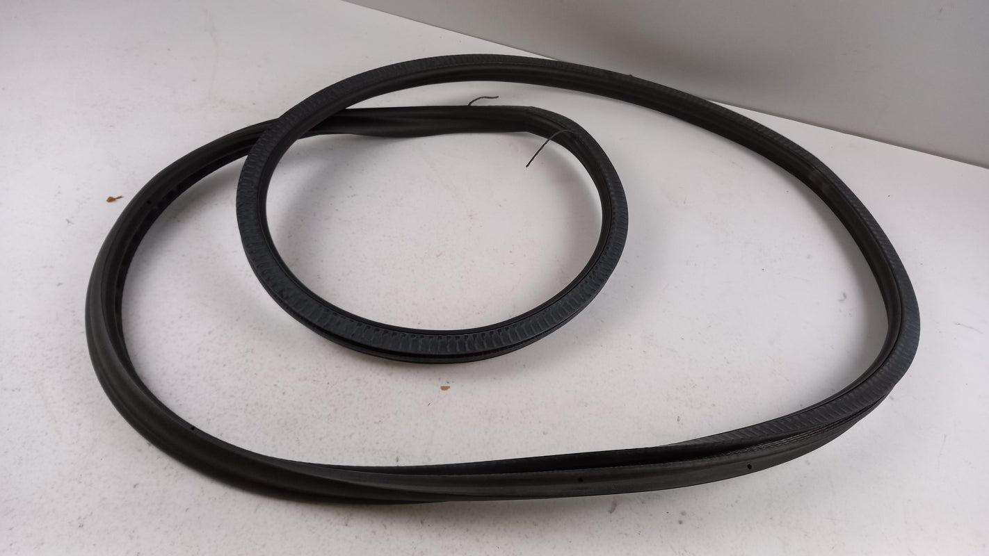 Original OE BMW Türdichtung 51727468732