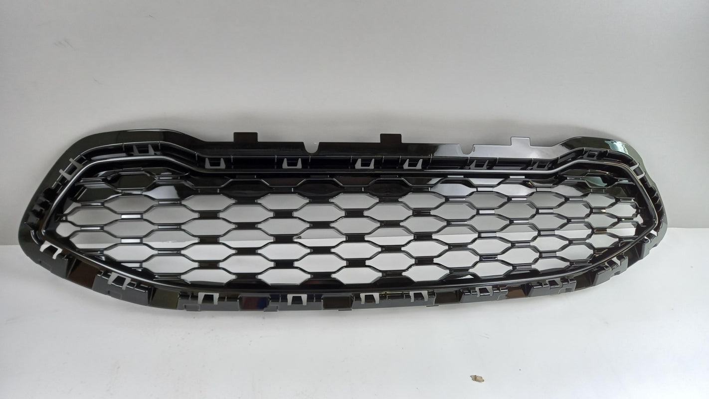 Original OE FORD Kühlergitter 2440074