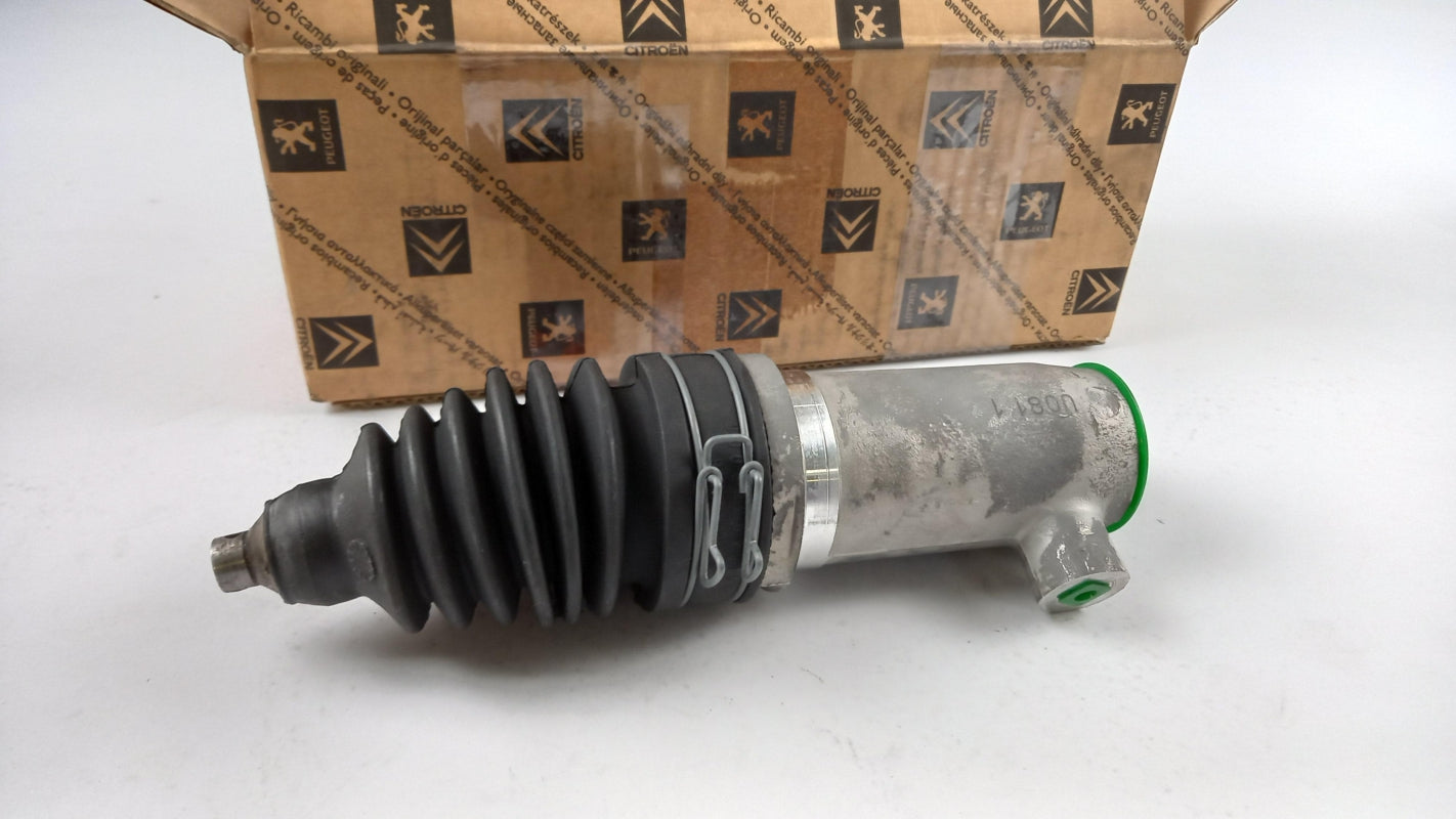 Original OE Peugeot 527220
