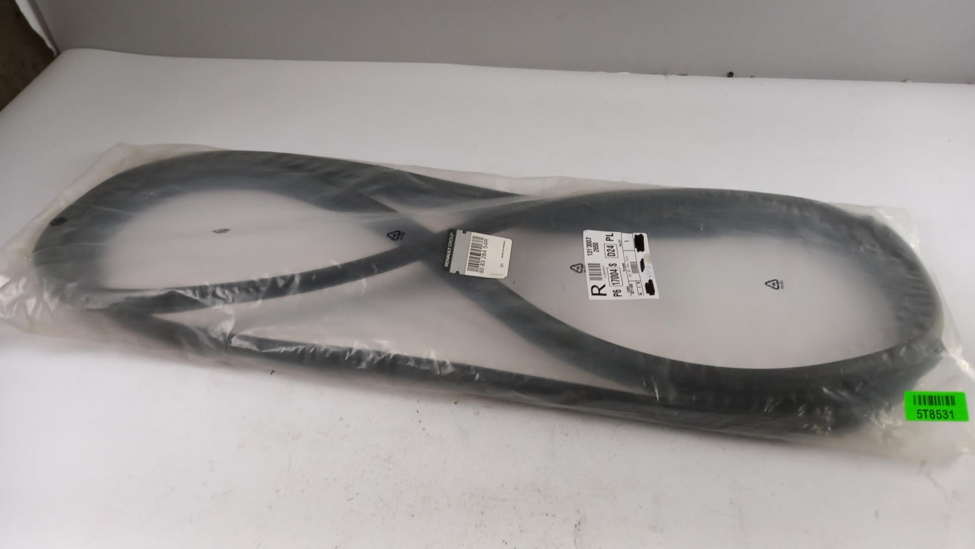 Original OE RENAULT Türdichtung 808328454R