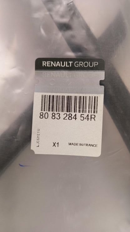 Original OE RENAULT Türdichtung 808328454R