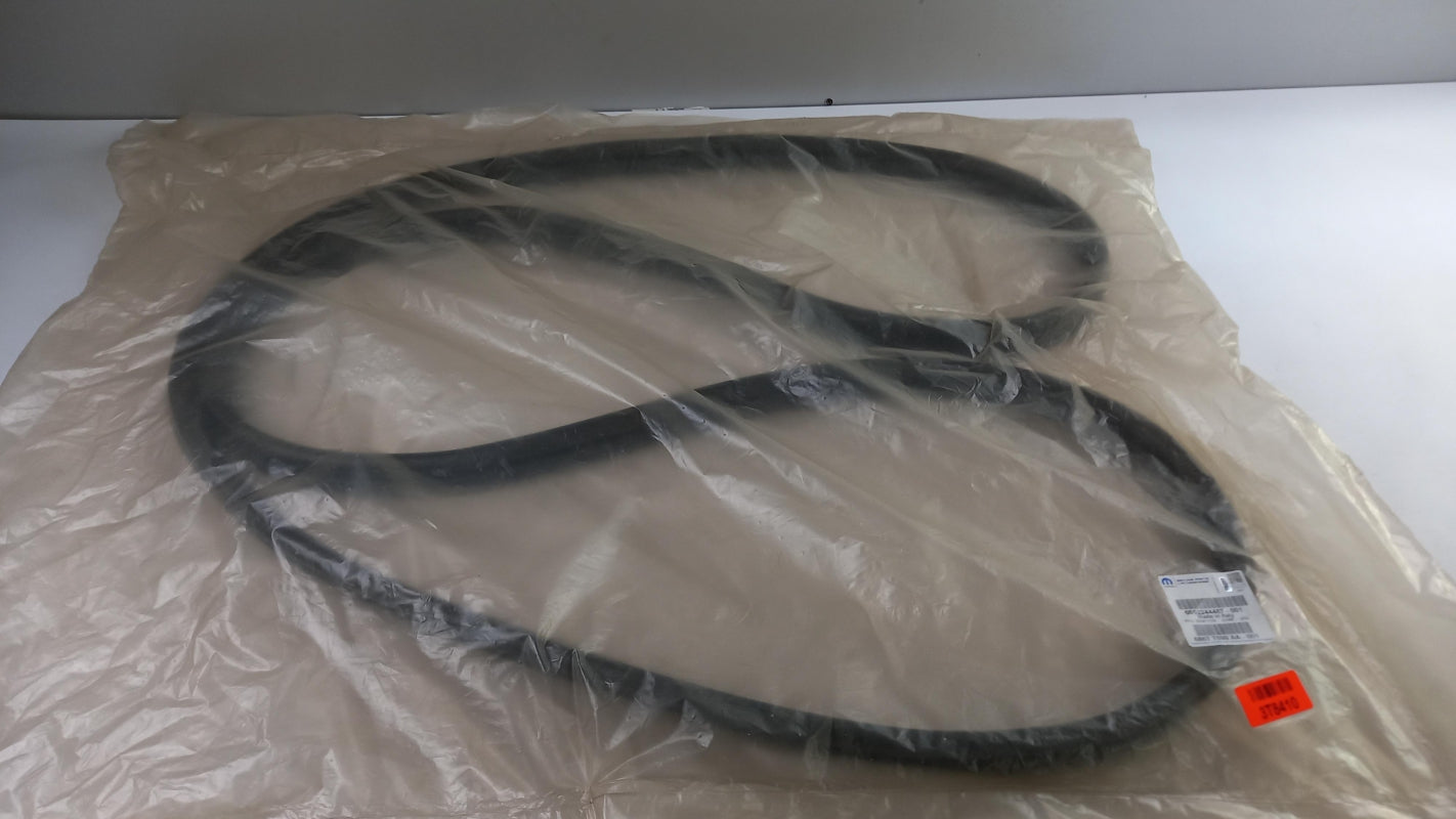 Original OE FIAT door seal 52244487 