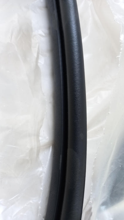 Original OE FIAT Ducato Türdichtung 52244487