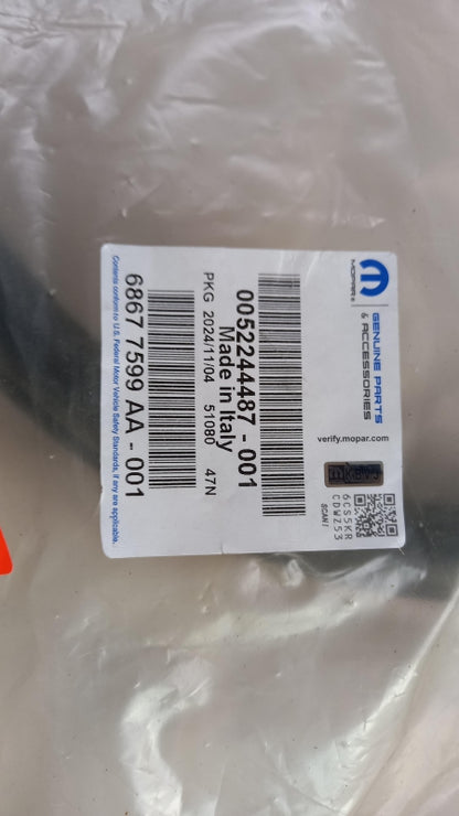 Original OE FIAT Ducato Türdichtung 52244487