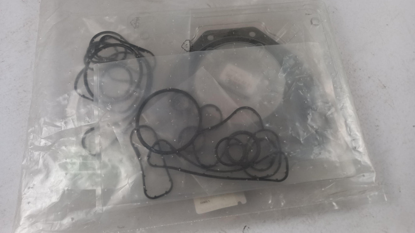 Original OE RENAULT Dichtungssatz 101013460R