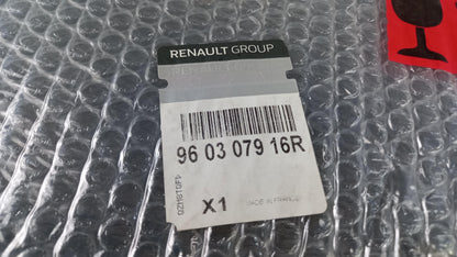 Original OE RENAULT Spoiler 960307916R