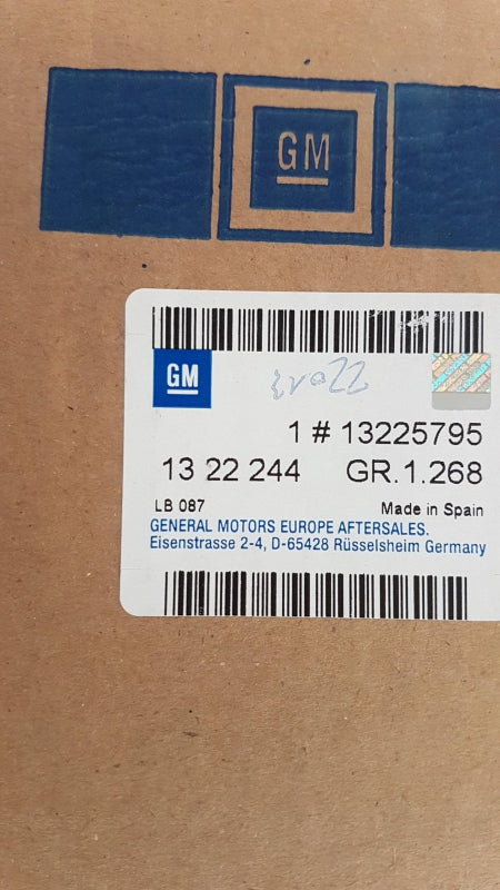 Original OE OPEL Kühlergitter 13225795