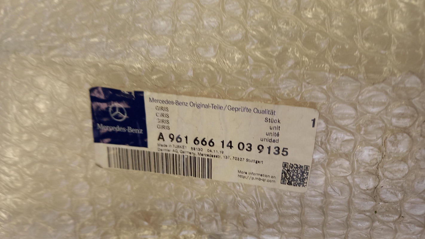Original OE MERCEDES-BENZ Trittbrett A96166614039135