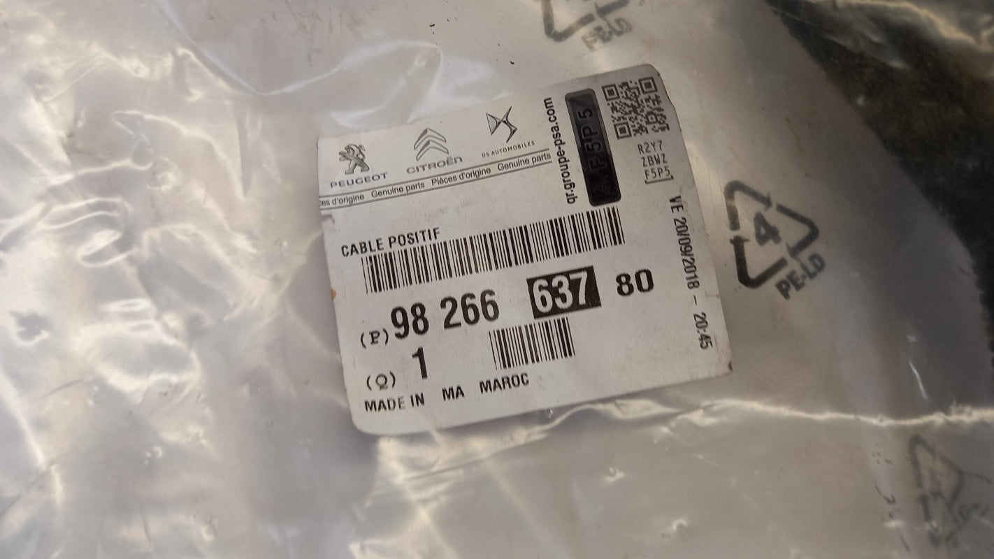 Original OE Peugeot Erdleitung 9826663780