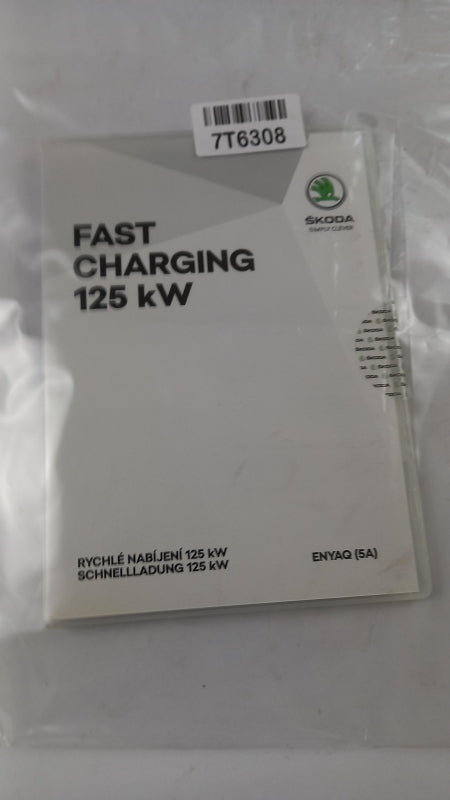 Original SKODA Elroq Enyaq Abschaltung beim DC-Laden 125kW 5LA054831A