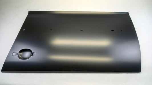 Original OE Volkswagen Türbeplankung 1K4831105G