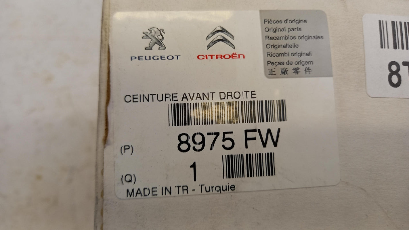 Original OE Peugeot 8975FW
