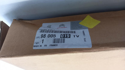 Original OE Peugeot Fensterführungsschiene 98005019TV