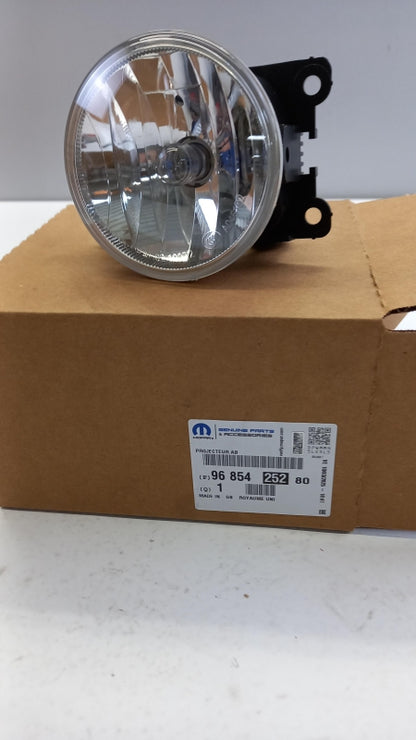 Original CITROEN C3 (2009-) Nebelscheinwerfer Vorne Links oder Rechts 9685425280