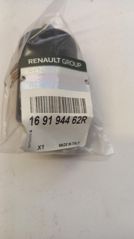 Original RENAULT Captur II LPG Kraftstofffilter 169194462R