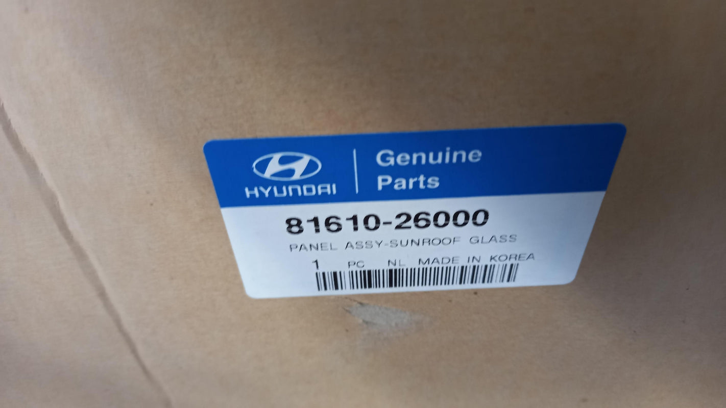 Original HYUNDAI Santa Fe (2000-2006) Schiebedach 8161026000