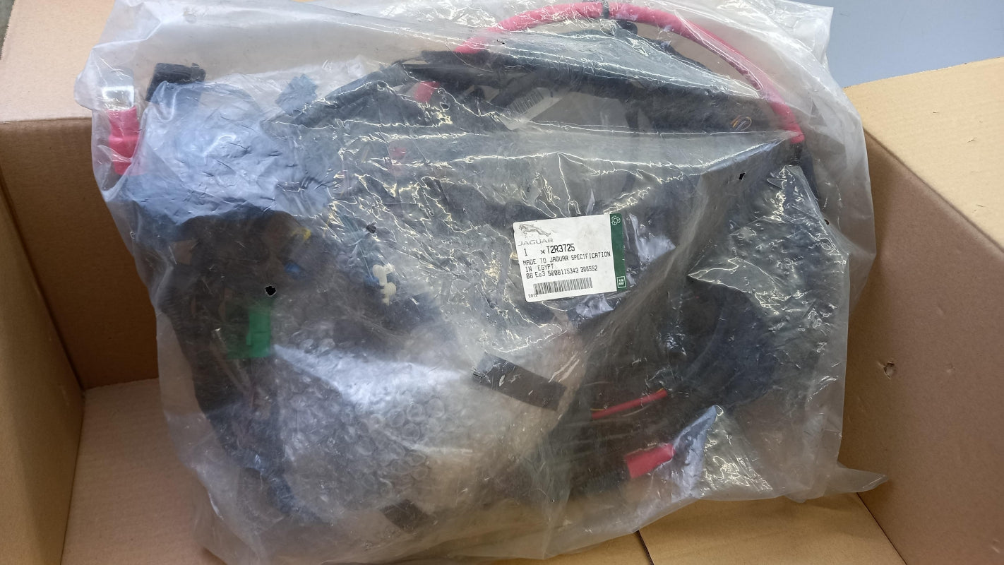 Original JAGUAR F-Pace (X761) Kabelbaum Rechts T2R3725